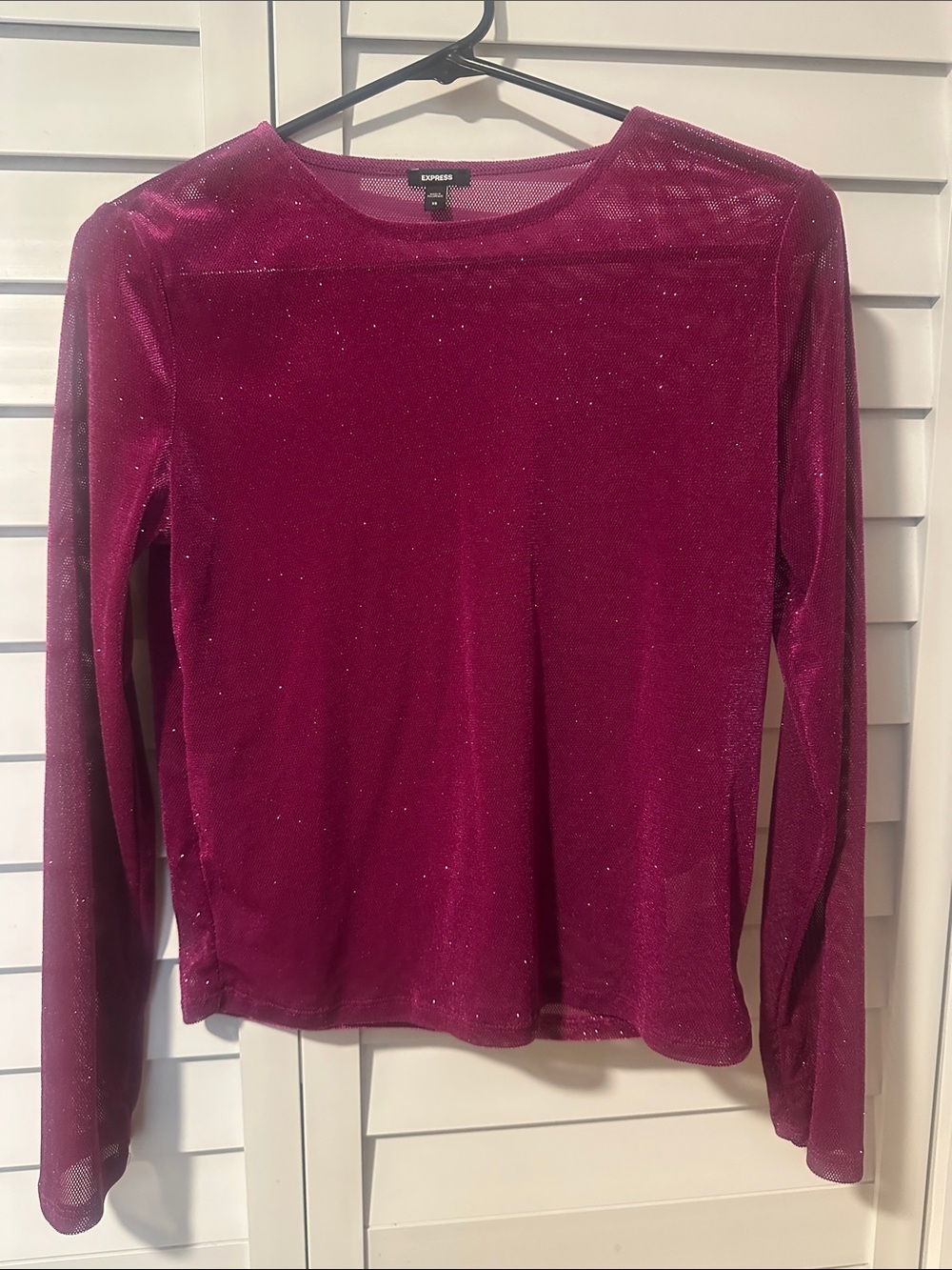 Express Long Sleeve Sheer Top in Magenta Sparkle